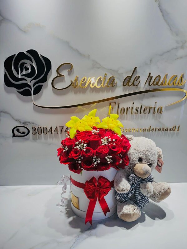 Cilindro rosas, orquídeas y peluche 🥰❤️