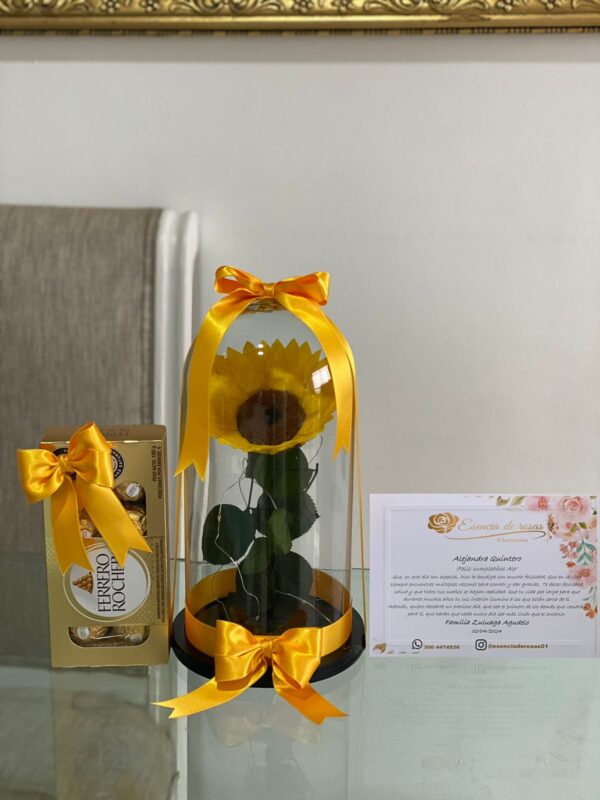 Girasol preservado + Luz led y chocolates Ferrero rocher x8