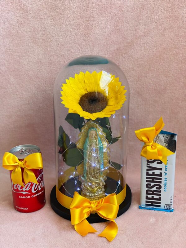 Girasol preservado + Luz led y chocolates Ferrero rocher x8 (copia)