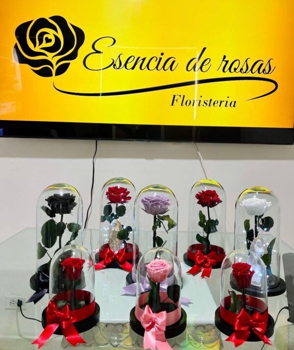 Rosas preservadas 🌹 - Image 2