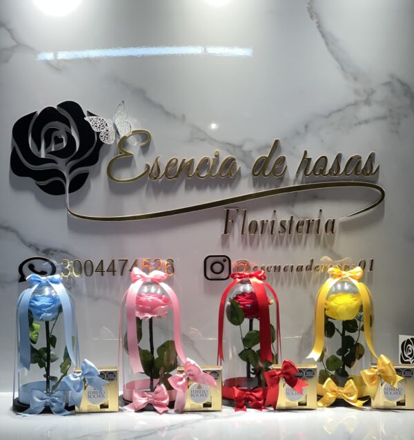 Rosas preservadas + Chocolates 🌹🍫