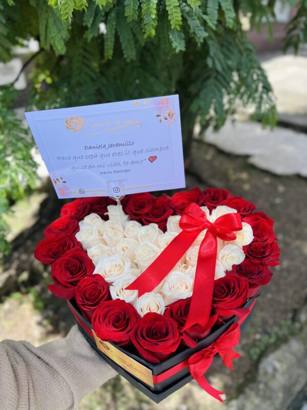 Corazon DOS colores 🥺😍